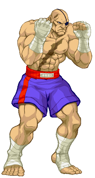 sagat gif